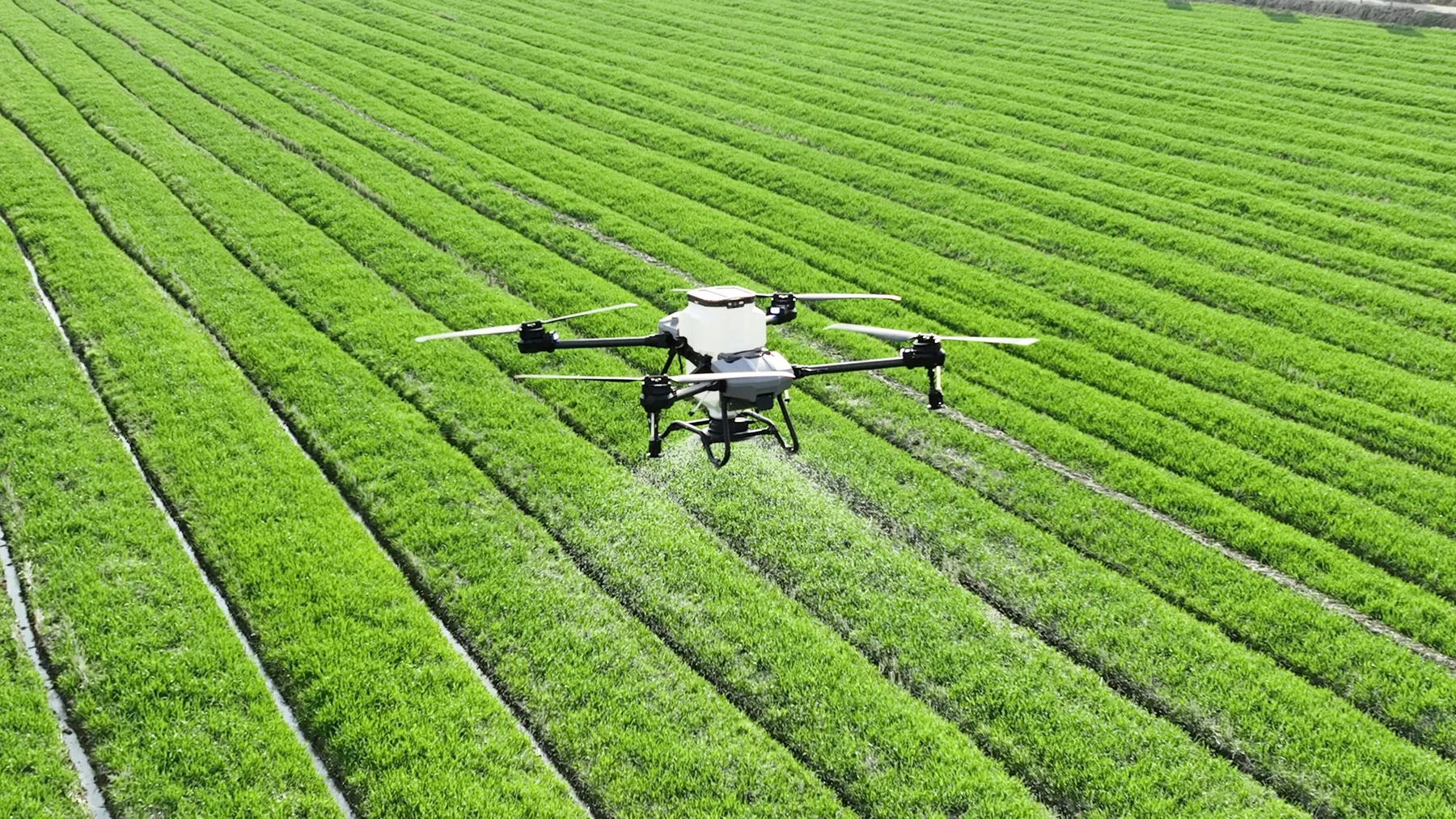 Agricultural UAV operating above crop rows